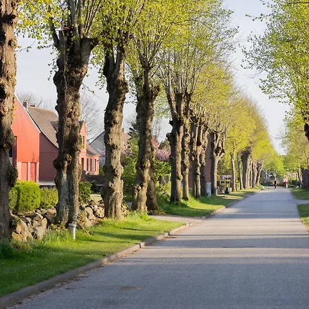 Hofkiek - Bauernhof Hopp Vadersdorf * Fehmarn