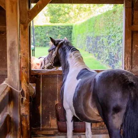 Hofkiek - Bauernhof Hopp Vadersdorf 펜션 *