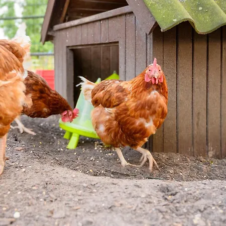 펜션 Hofkiek - Bauernhof Hopp Vadersdorf 페마른