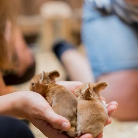 Hofkiek - Bauernhof Hopp Vadersdorf 펜션 *
