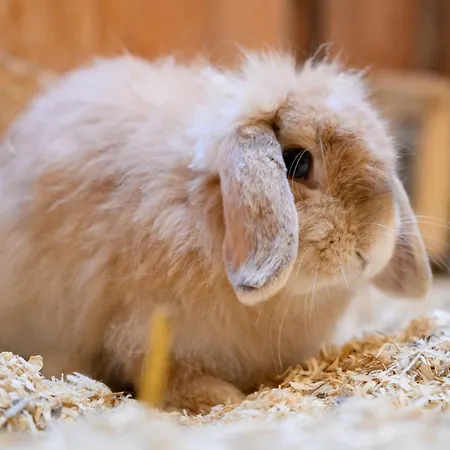 Hofkiek - Bauernhof Hopp Vadersdorf *