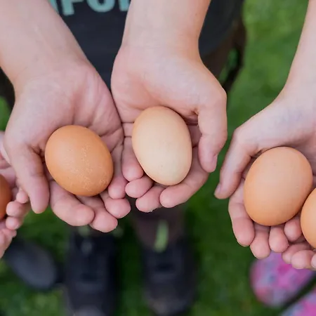 Hofkiek - Bauernhof Hopp Vadersdorf 펜션