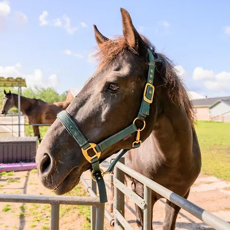 펜션 Hofkiek - Bauernhof Hopp Vadersdorf *