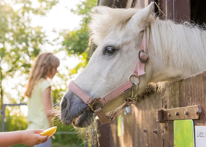 Hofkiek - Bauernhof Hopp Vadersdorf Ferienhaus