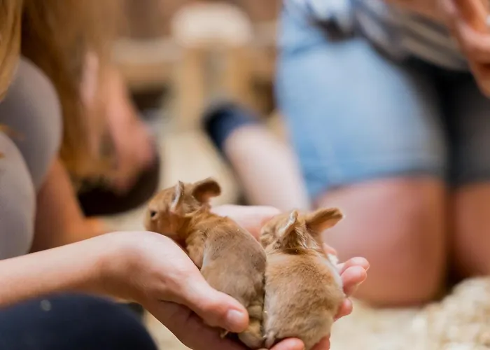 Hofkiek - Bauernhof Hopp Vadersdorf Ferienhaus *