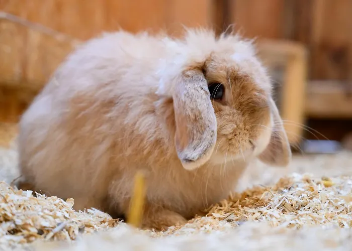 Hofkiek - Bauernhof Hopp Vadersdorf *