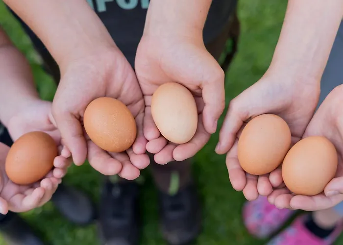Hofkiek - Bauernhof Hopp Vadersdorf Ferienhaus